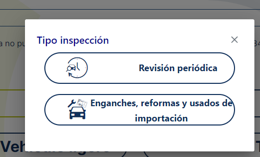 Elegir tipo de inspección itv